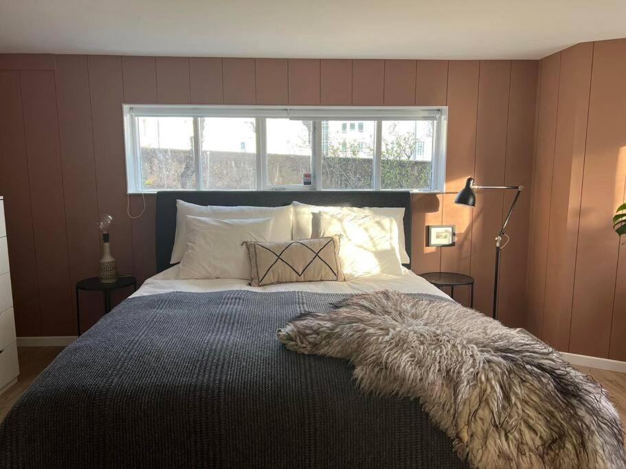 Appartement New Cozy Bohemian Dowtown *